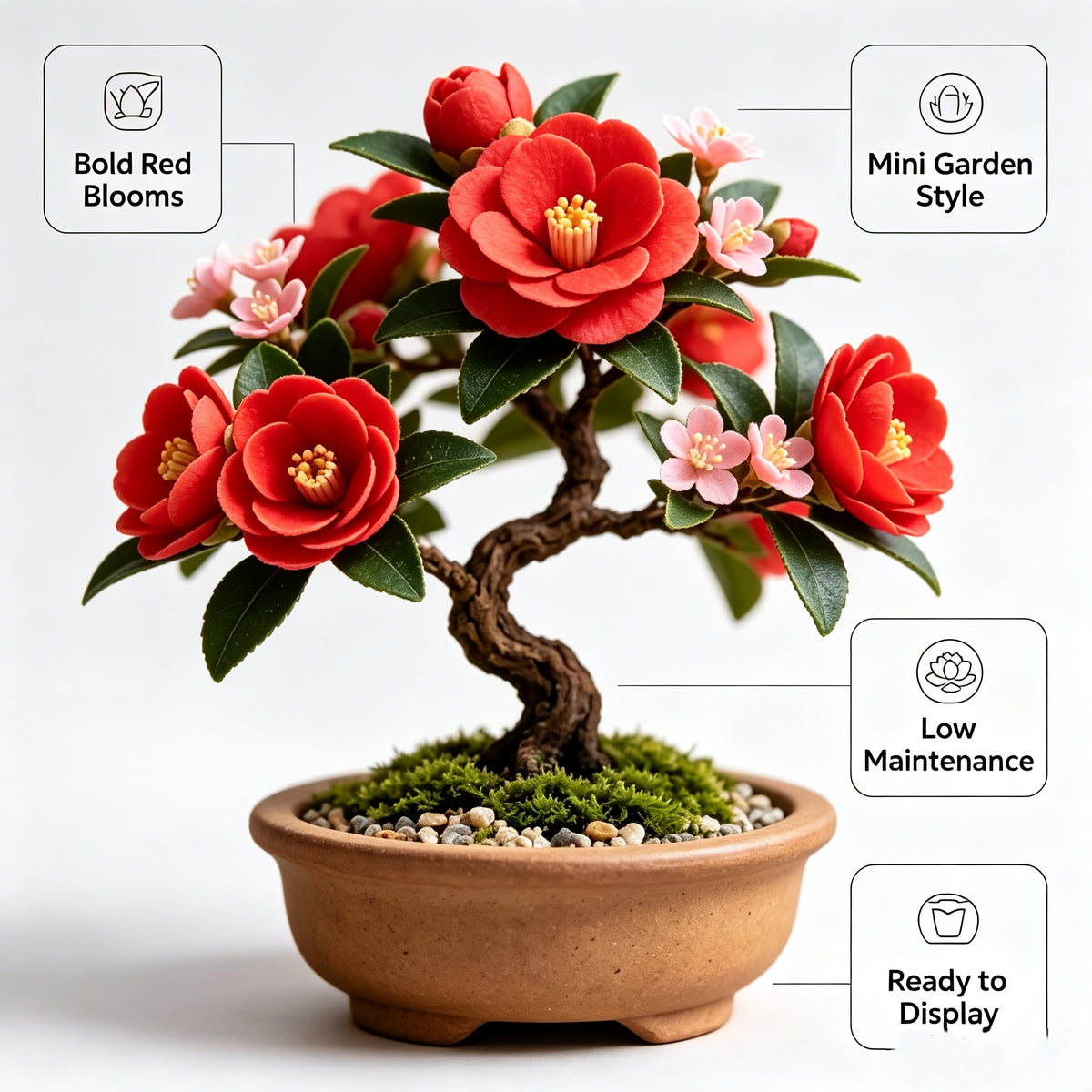 Shineiva® Red Camellia Mini Bonsai in Brown Ceramic Pot
